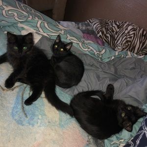 Meet your Posher, Kiersten